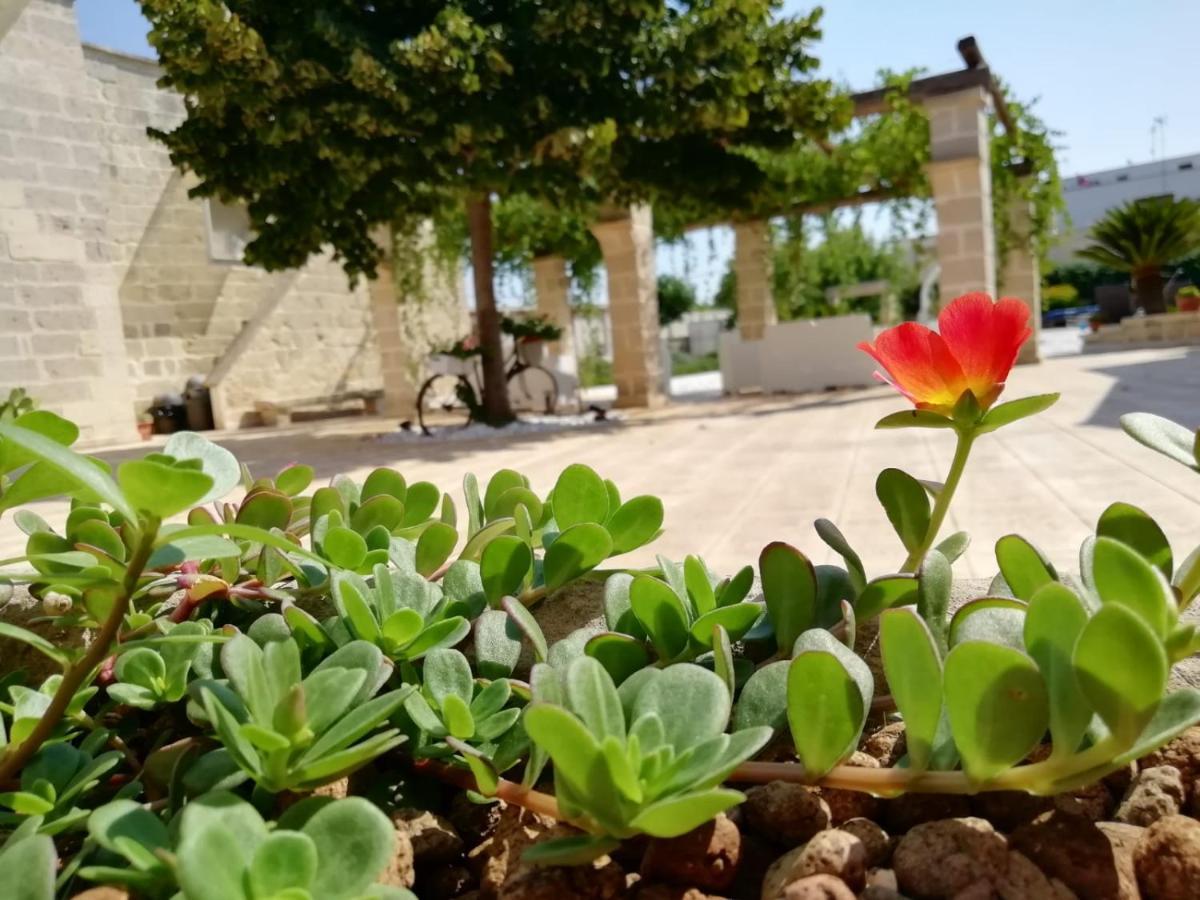 Il Giardino Del Tiglio Bed & Breakfast อุจจาโน ลาเคียซา ภายนอก รูปภาพ