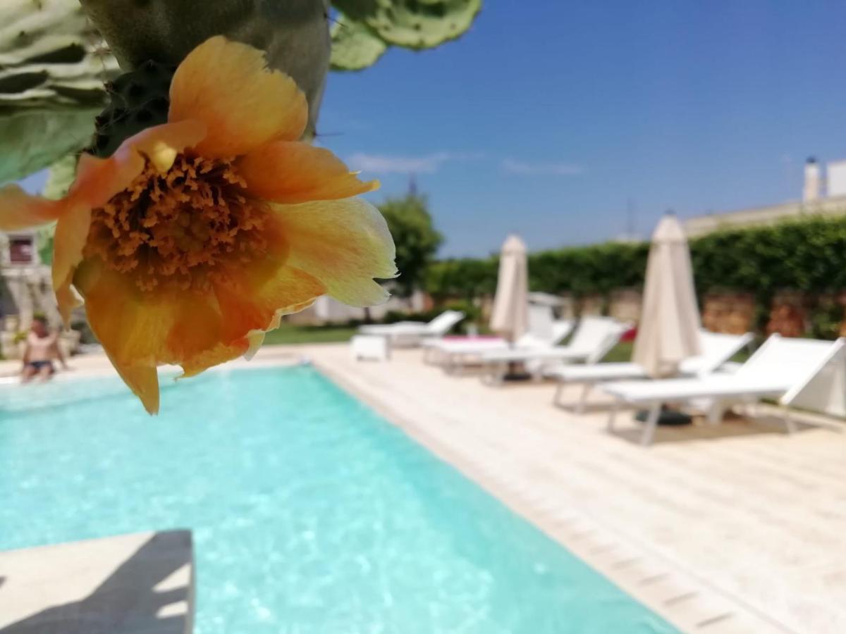 Il Giardino Del Tiglio Bed & Breakfast อุจจาโน ลาเคียซา ภายนอก รูปภาพ