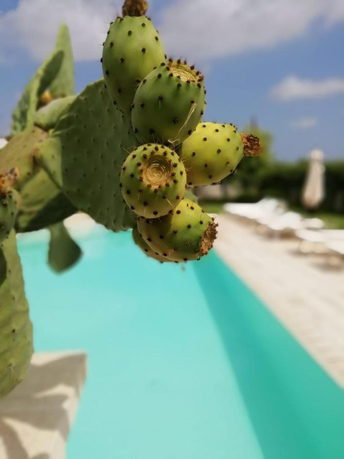 Il Giardino Del Tiglio Bed & Breakfast อุจจาโน ลาเคียซา ภายนอก รูปภาพ